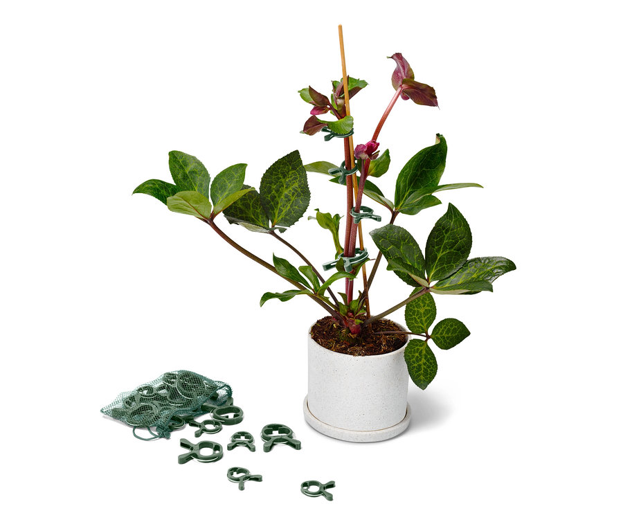 Eine Blume im Topf ist mit 20 Pflanzenclips an einem Stock befestigt.