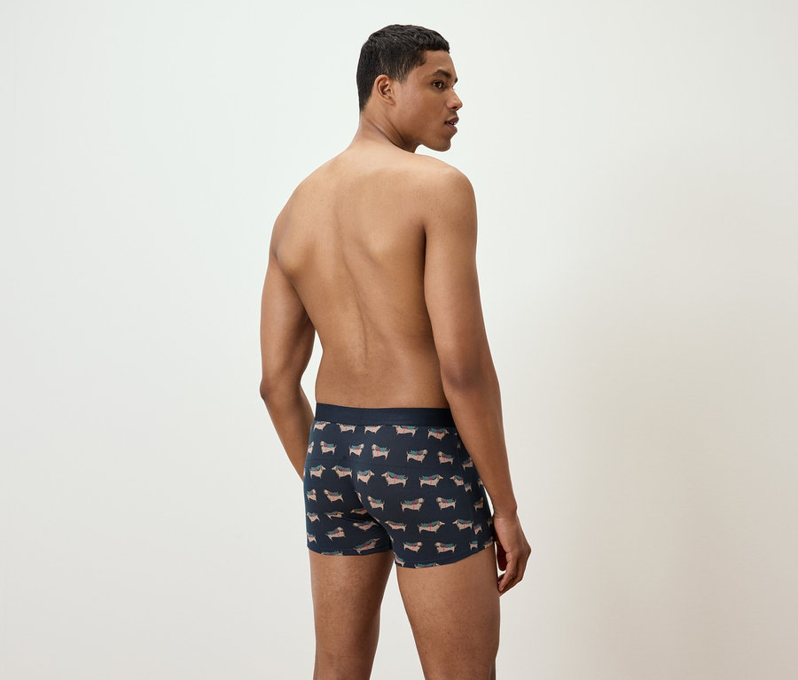 Ein Mann mit dem Rücken zur Kamera trägt Boxershorts mit Dackel-Print.