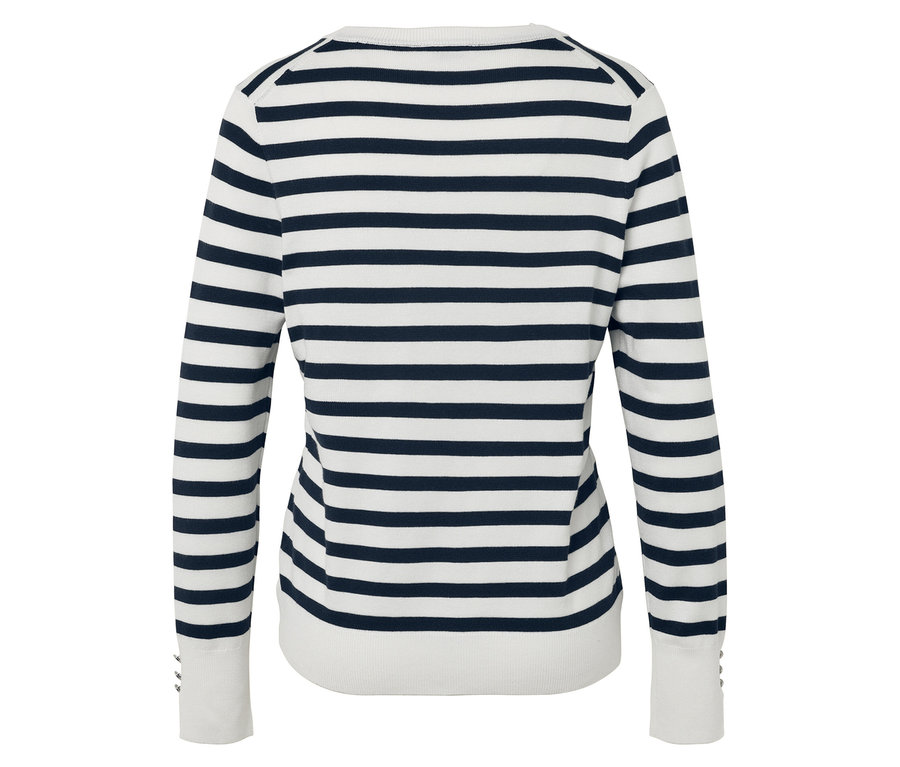 Rückansicht eines blau-weiß gestreiften langärmeligen Pullovers.