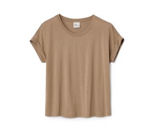 Dusty Camel