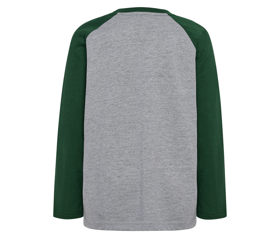 Rückansicht des grünen HUMMEL HMLJR Raglan Loose T-Shirts BEE.