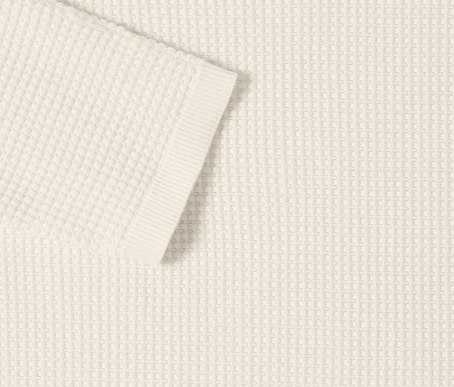 Nahaufnahme des CECIL Feinstrickpullovers in Creme mit kurzem Ärmel und Label am Kragen.