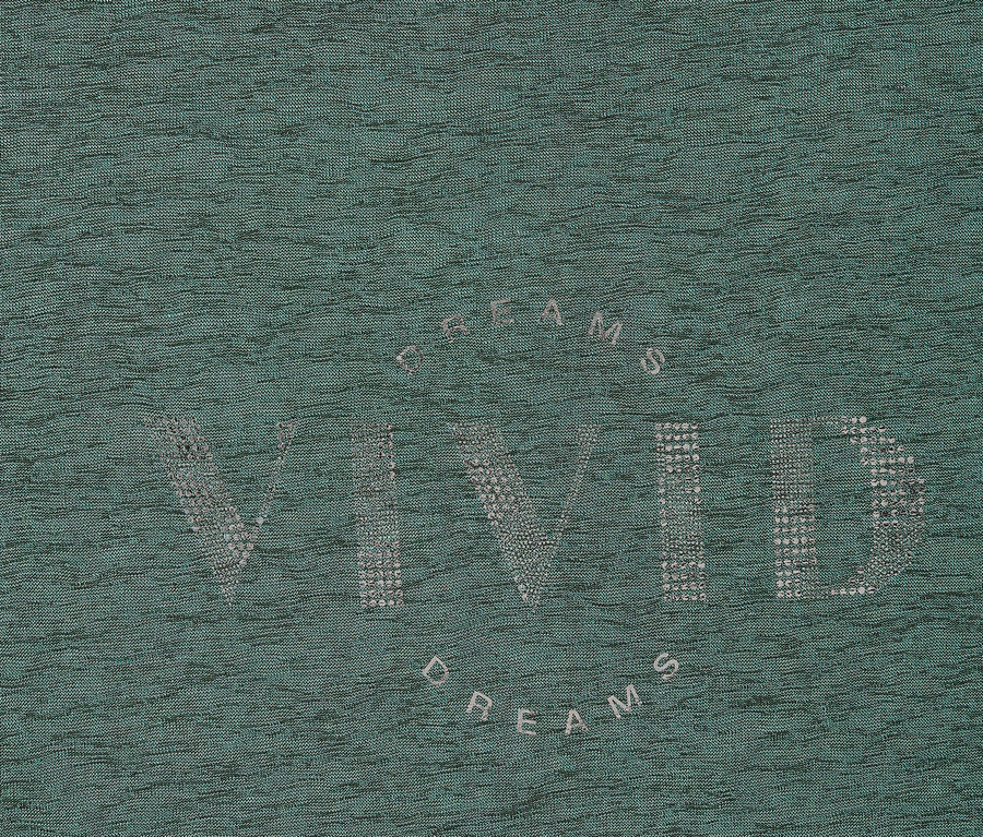 Nahaufnahme eines mintgrünen Stoffes mit dem silbernen Schriftzug "Vivid Dreams".