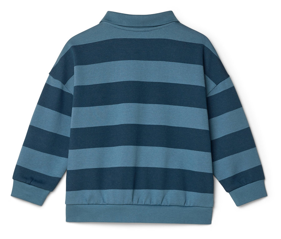 Rückansicht eines langärmeligen Poloshirts mit blauen Streifen.