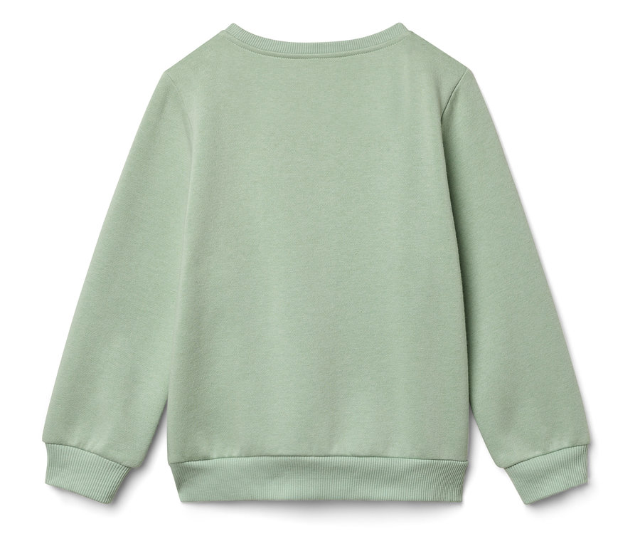 Rückansicht eines hellgrünen Sweatshirts.
