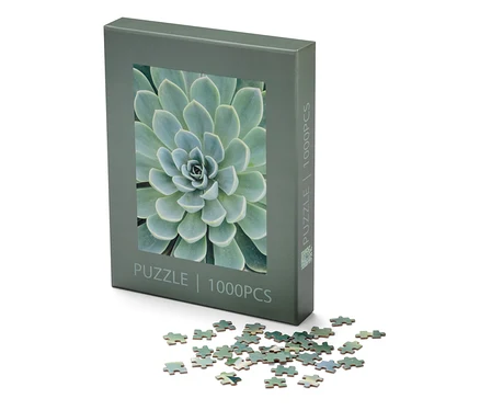 Ein Puzzle »Sukkulente«-Karton und ein paar Puzzleteile liegen auf einem weißen Hintergrund.