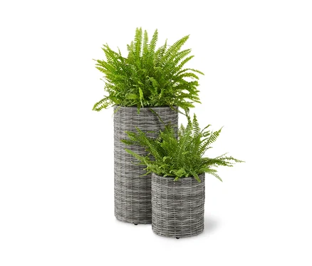 Zwei Blumentöpfe aus Polyrattan mit Farnen.