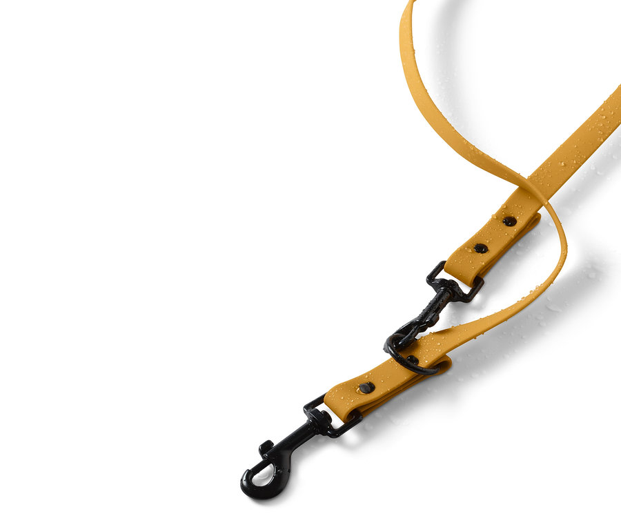 Eine gelbe, längenverstellbare Hundeleine mit schwarzem Karabiner liegt auf einem weißen Hintergrund.