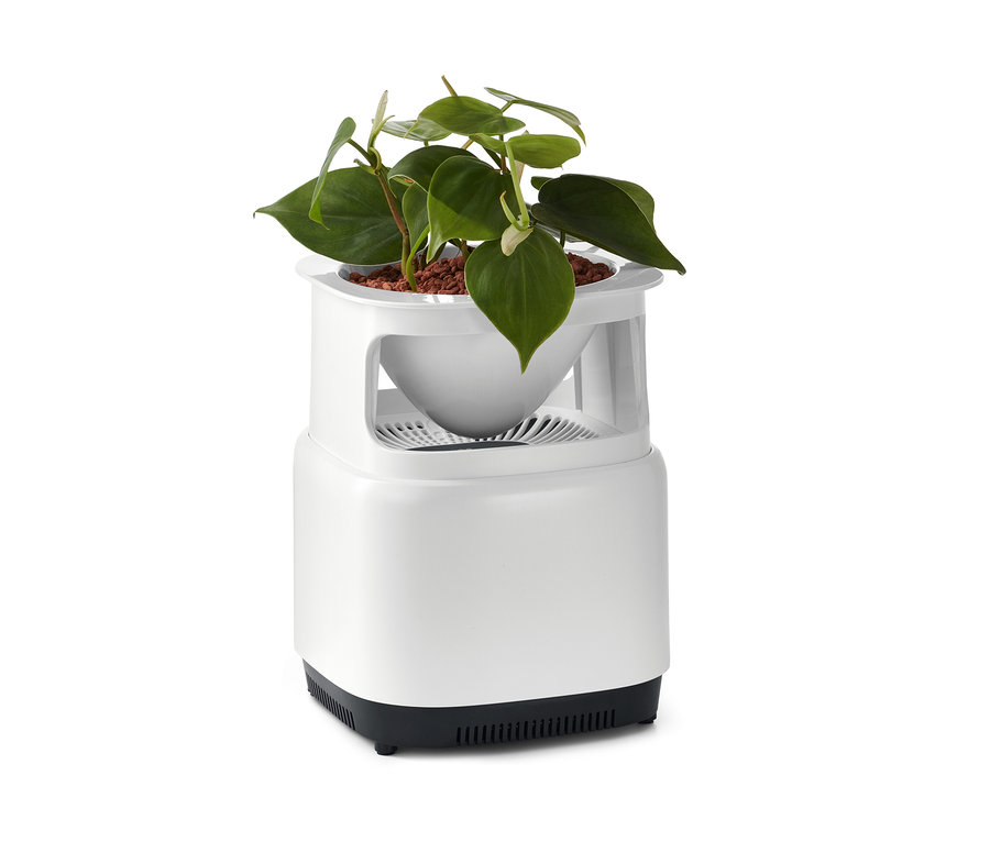 Blumentopf mit Luftfilter.