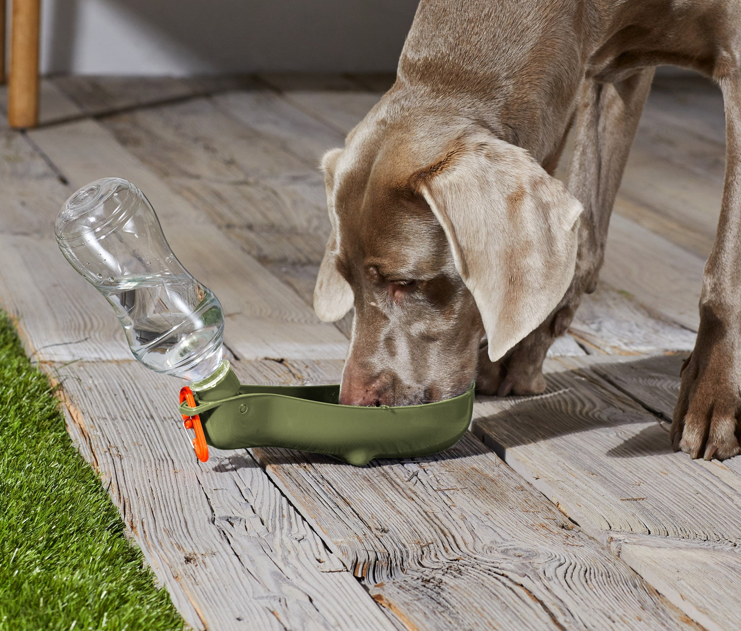 Hund trinkt aus Hunde-Trinkflasche mit integrierter Trinkschale.