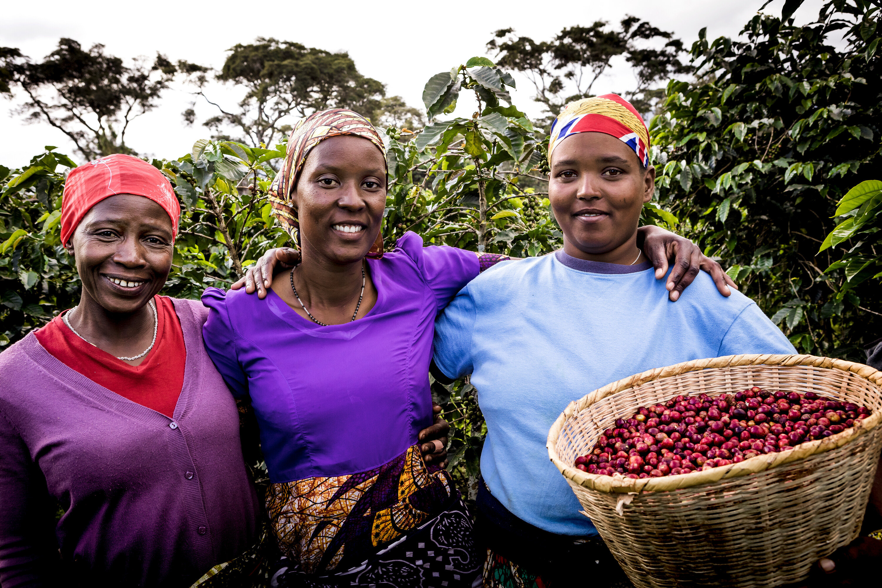 Drei Frauen mit Kopftüchern stehen auf einer Kaffeeplantage, eine hält einen Korb mit Kaffeebohnen.
