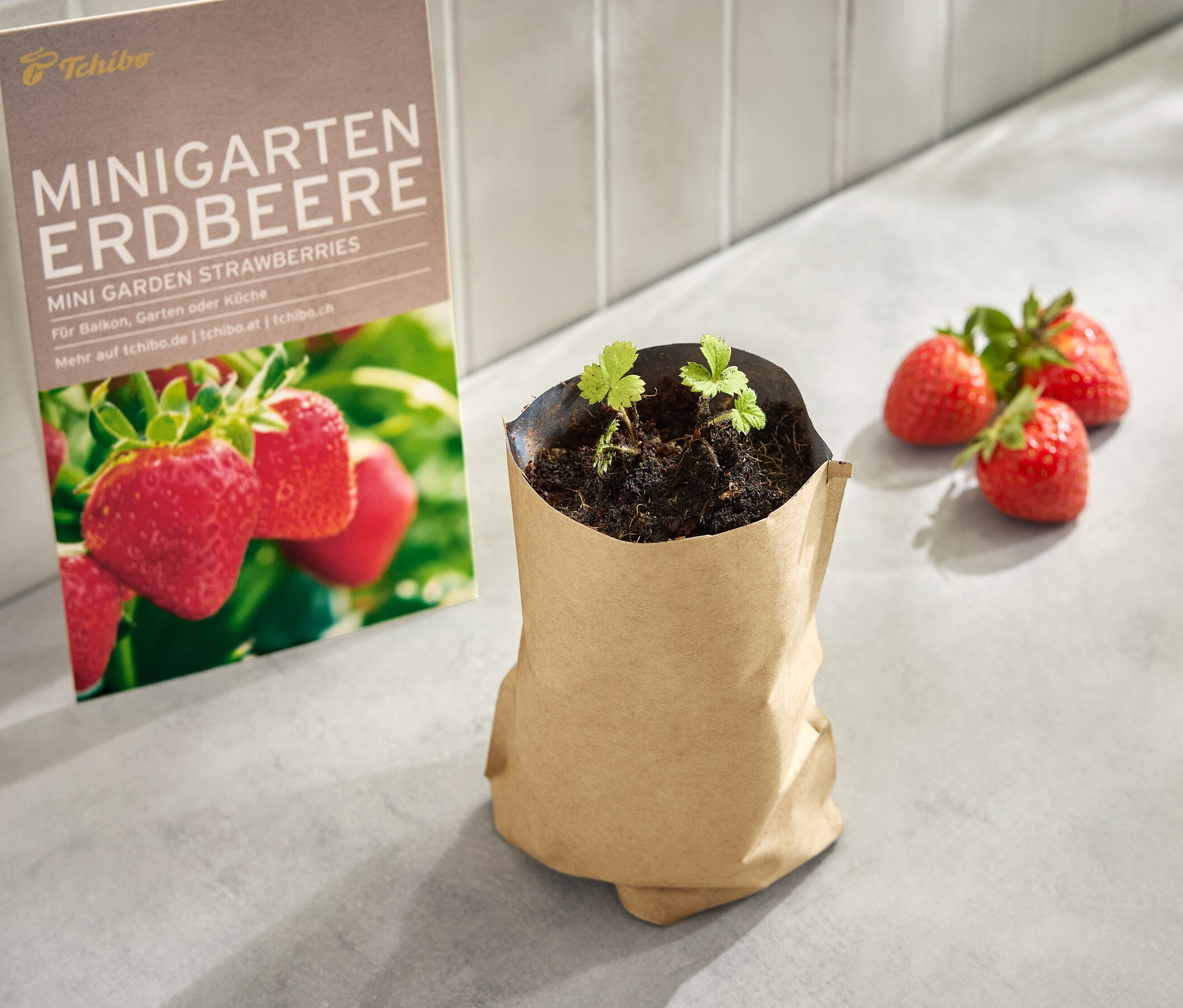 Minigarten in der Papiertüte mit Erdbeeren und einem Bild von Erdbeeren.