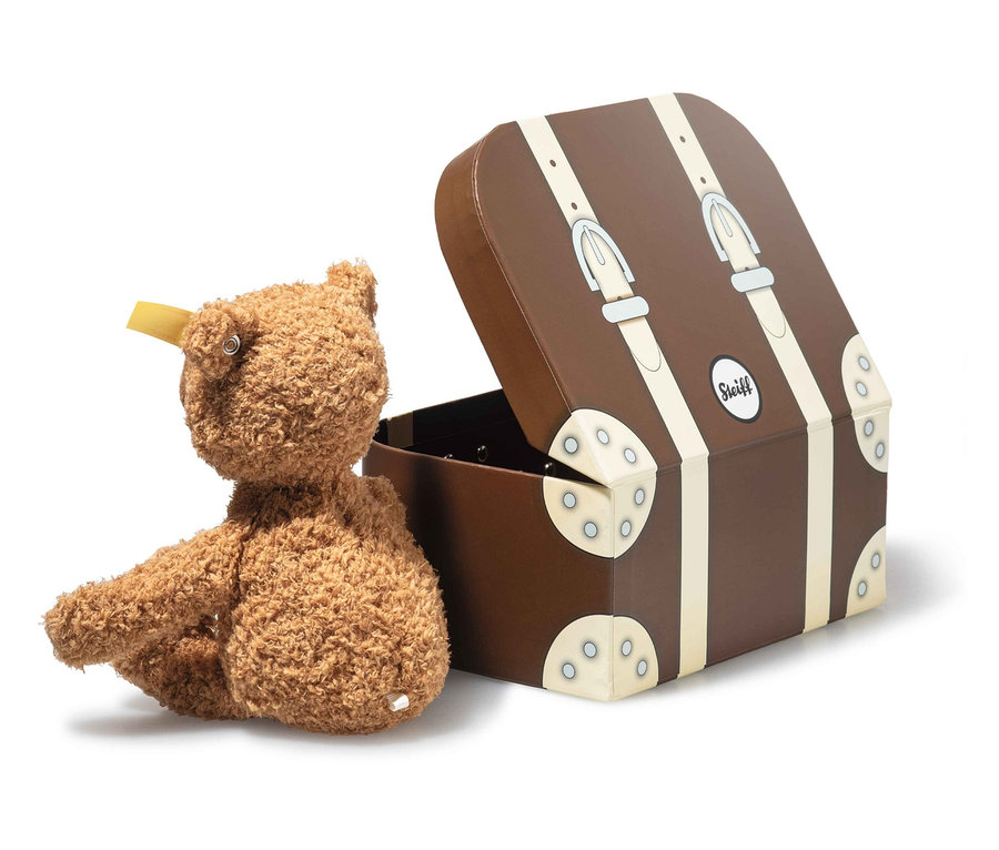 Ein Teddybär sitzt neben einem offenen braunen Koffer.