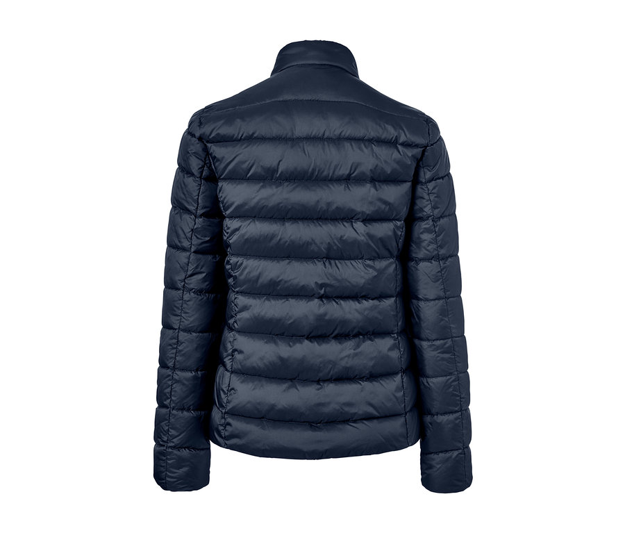Dunkelblaue Steppjacke von hinten.