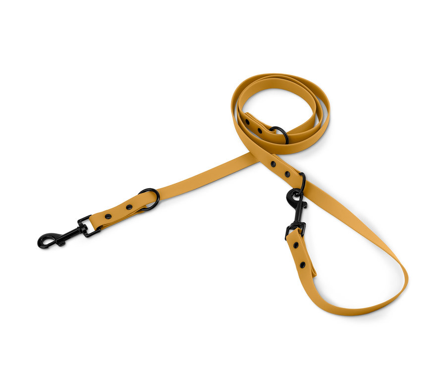 Eine gelbe, längenverstellbare Hundeleine liegt auf einem weißen Hintergrund.