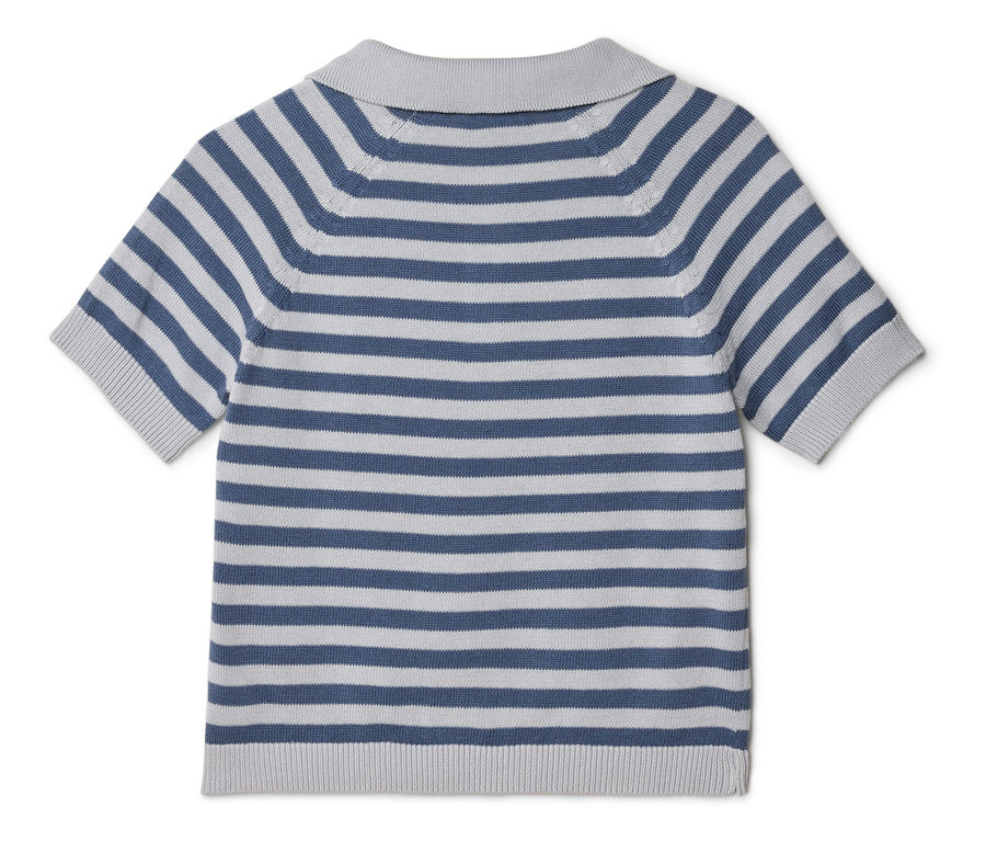 Rückansicht eines gestreiften Kurzarm-Poloshirts in Blau und Grau.