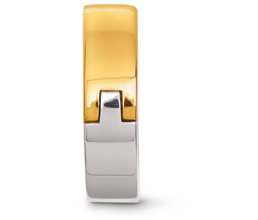 Detailaufnahme eines goldenen und silbernen Rings.