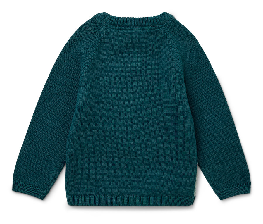 Rückseite eines grünen, langärmeligen Pullovers.