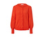 Orange-rot