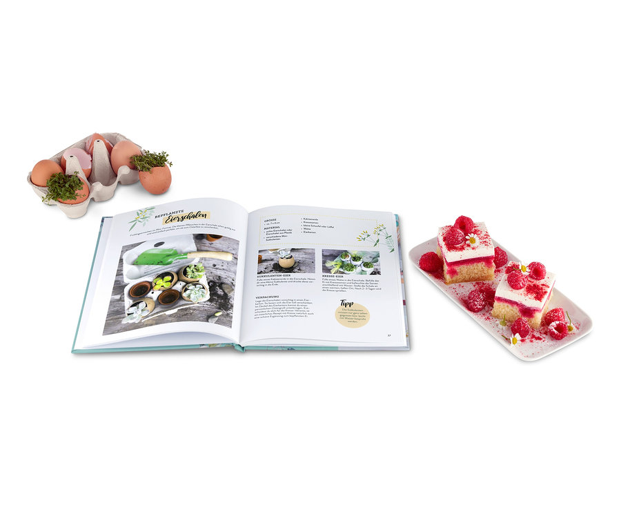 Geöffnetes Buch »Endlich Frühling – Basteln, Backen und Dekorieren« neben einem Teller mit Himbeerschnitten und einer Eierpalette.