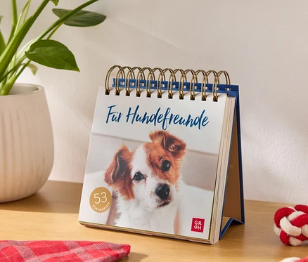 Tischkalender mit der Aufschrift "Für Hundefreunde" und einem Bild von einem Hund, daneben ein Blumentopf und ein Hundespielzeug.