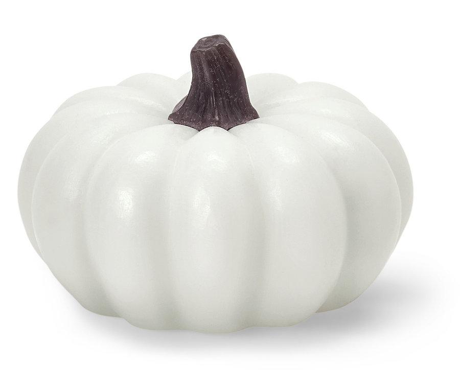 Weißer Kürbis mit braunem Stiel.