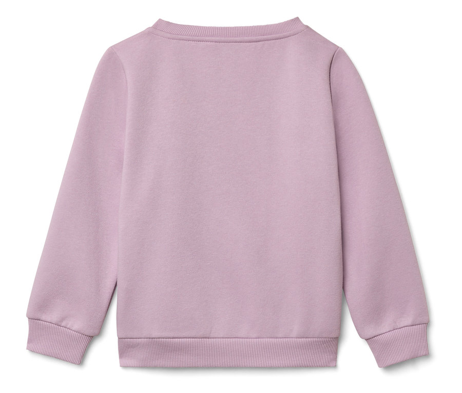 Rückansicht eines hellvioletten Langarm-Sweatshirts.