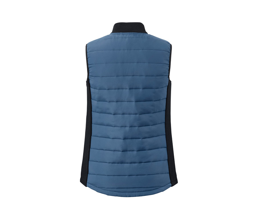 Rückansicht einer blauen Thermo-Steppweste.