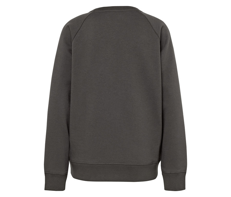 Rückansicht eines grauen Langarm-Sweatshirts.