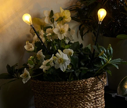 Ein Korb mit weißen Blumen und zwei LED-Leuchtstäben.