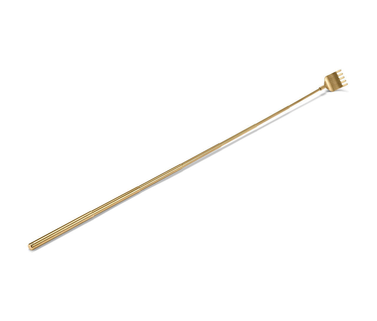 Goldener Rückenkratzer.