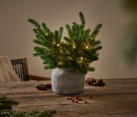Grüner Nadelbaum mit kleinen Lichtern in einer grauen Vase auf einem Holztisch.
