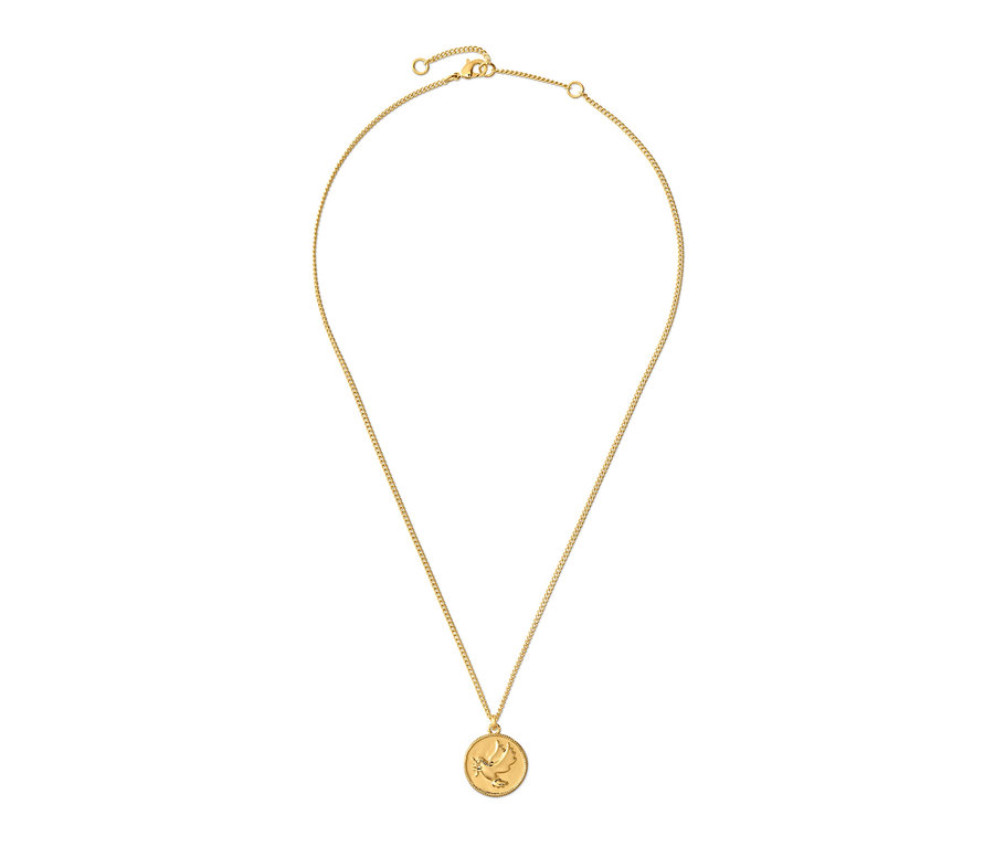 Goldene Kette Dove mit rundem Anhänger auf weißem Hintergrund.