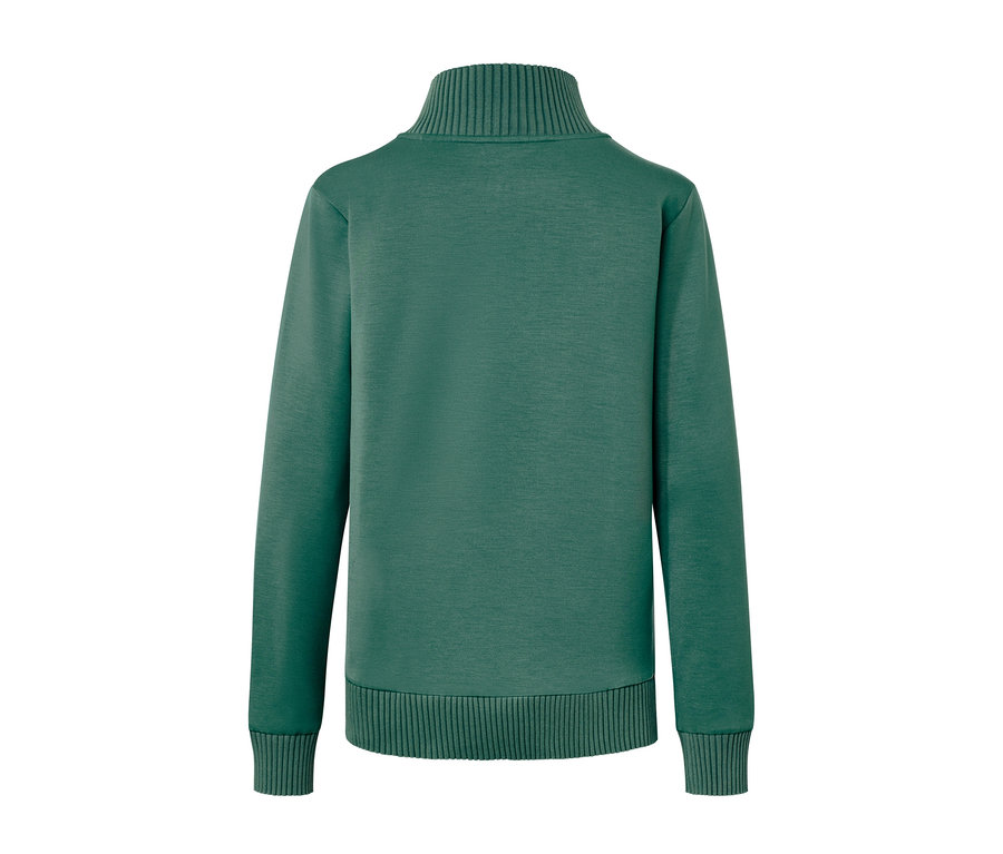 Rückansicht eines grünen Sweatshirts mit Stehkragen.
