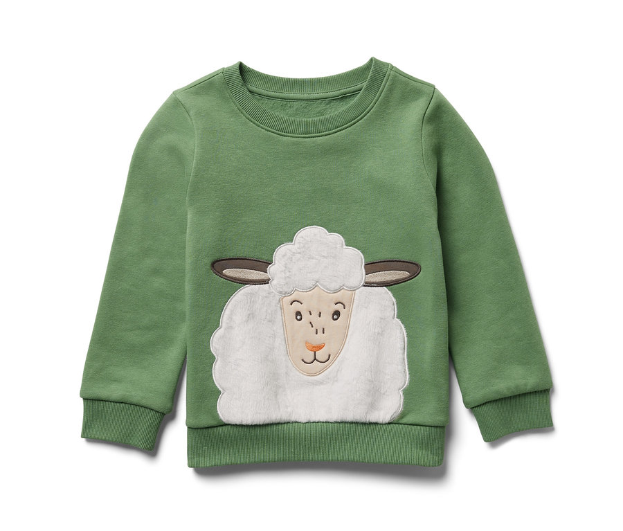 Ein grünes Kinder-Sweatshirt mit einem Schaf-Applikation.