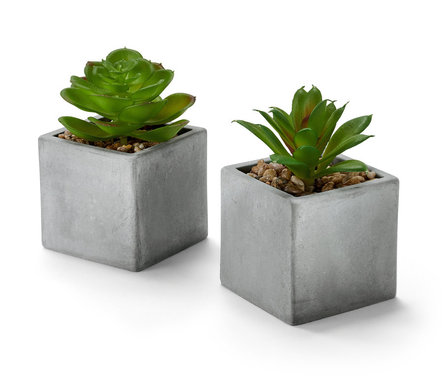 Zwei Mini-Kunstpflanzen in Töpfchen.