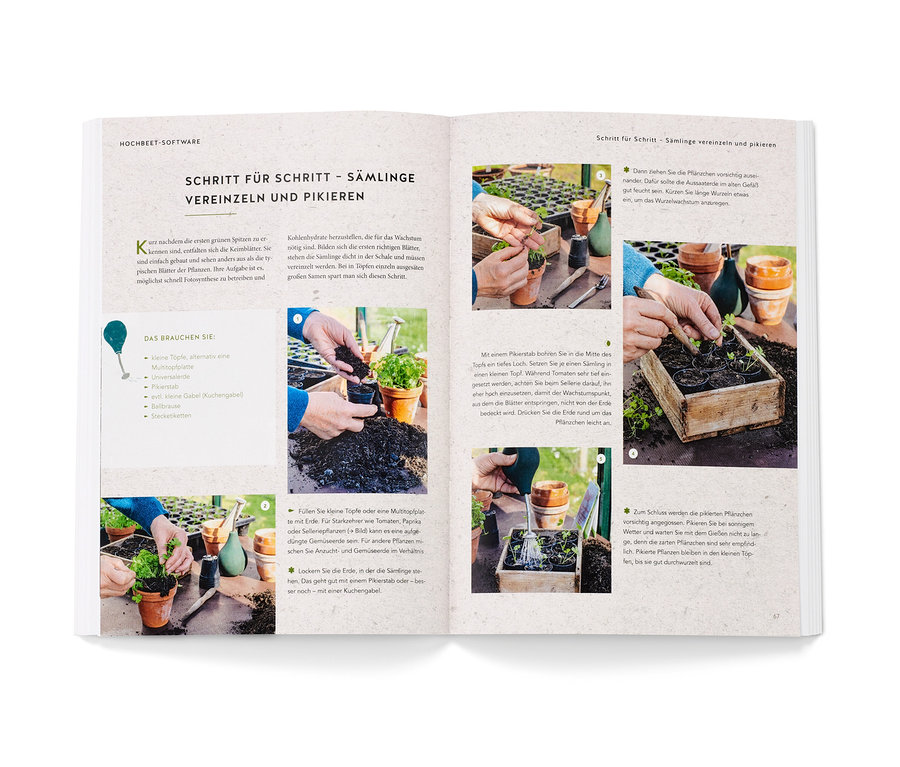 Ein offenes Buch zeigt eine Anleitung zum Pikieren von Sämlingen mit Schritt-für-Schritt-Bildern, mit dem Buch »Hochbeet – das ganze Jahr«.