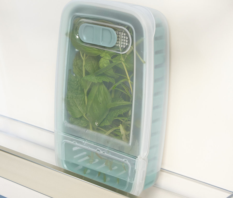 Grüne Kräuter in einem blaugrünen Behälter im Kühlschrank.