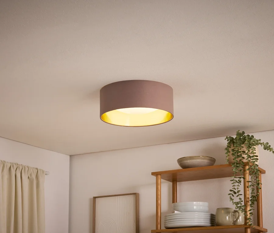 Eine runde, braune Deckenleuchte mit goldener Innenseite beleuchtet einen Raum. Darunter steht ein Holzregal mit weißen Tellern, einer Tasse, einer Schale und einer hängenden Topfpflanze. Links hängt ein heller Vorhang.