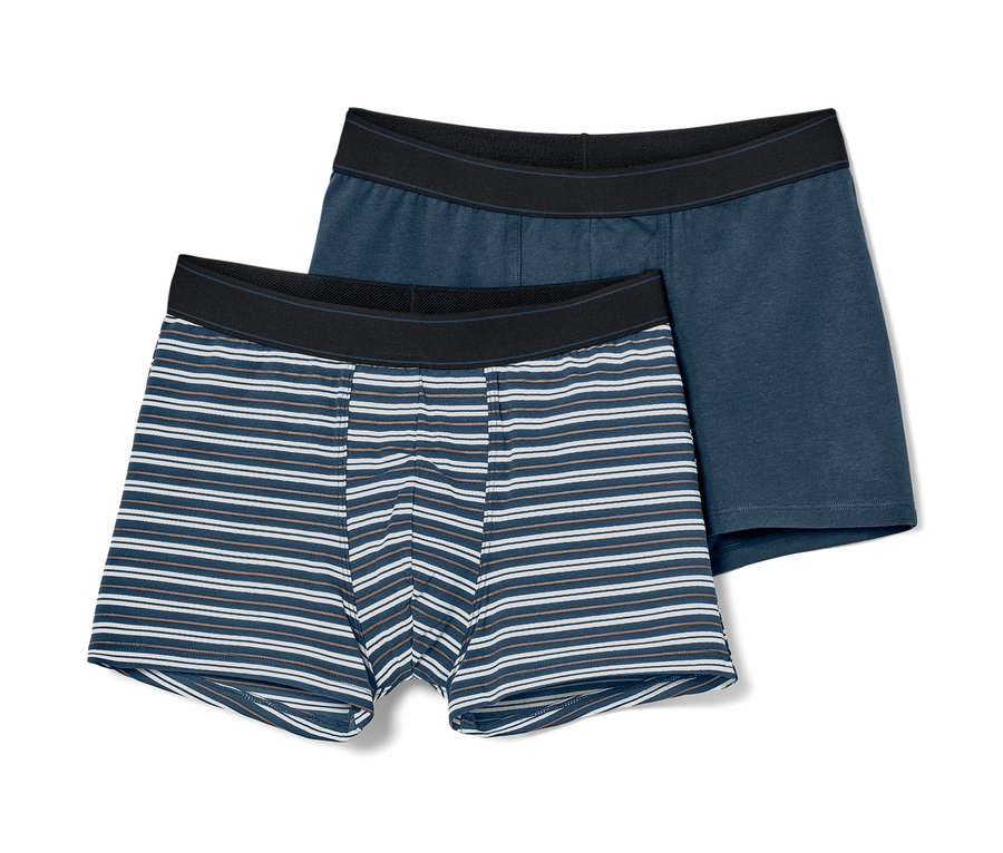 Zwei gestreifte Slipboxer.