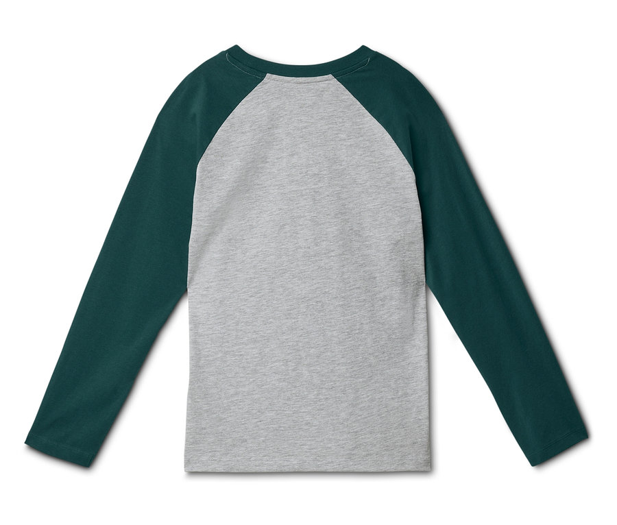 Rückansicht eines langärmeligen Raglan-Shirts mit grauem Rumpf und dunkelgrünen Ärmeln auf weißem Hintergrund.