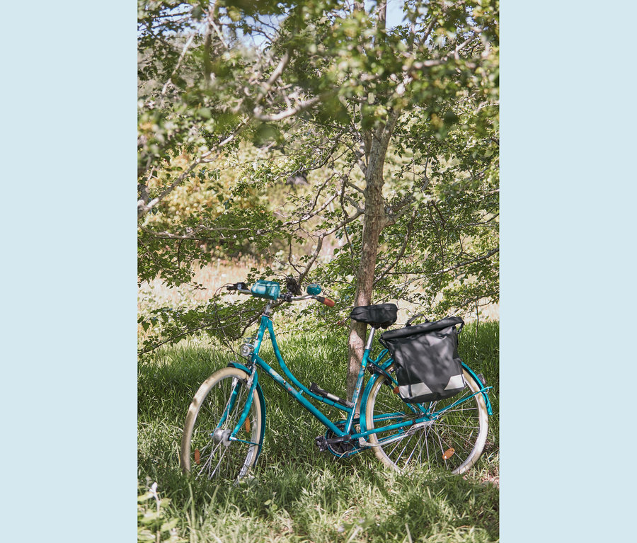 Türkisblaues Fahrrad lehnt an Baum. Am Fahrrad sind eine Fahrrad-Smartphone-Halterung, ein Sattelbezug mit Memory-Foam und eine wasserfeste Rad- und Umhängetasche befestigt.