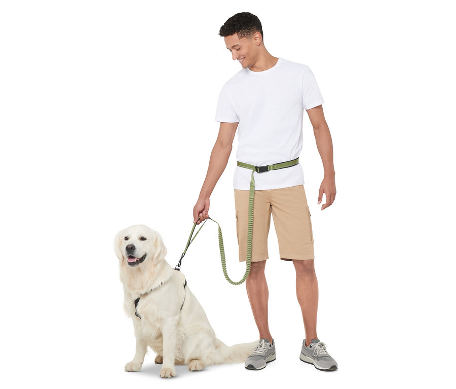 Mann hält eine längenverstellbare Hundeleine, während ein Golden Retriever sitzt.