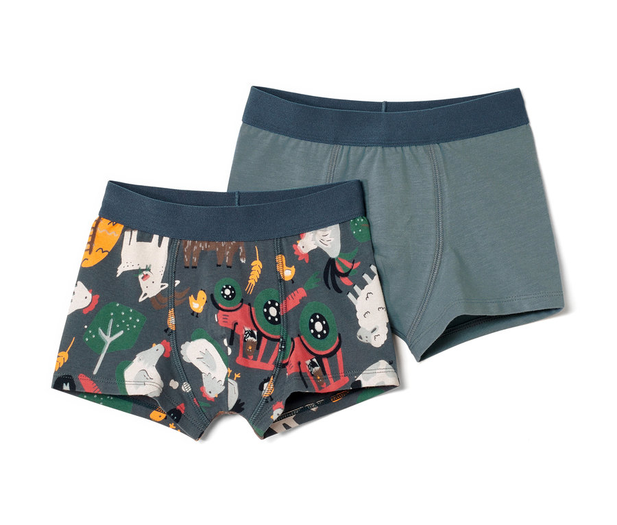 Zwei Jungen-Slipboxer, eine mit Bauernhof-Motiv, die andere blau.