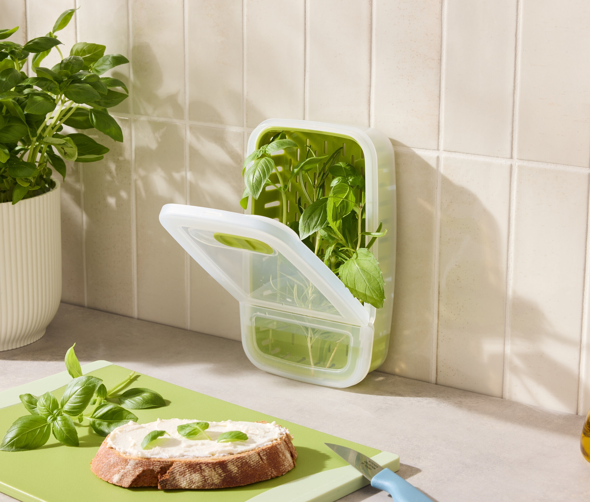 Auf der Anrichte befinden sich Basilikum im Topf, ein Behälter mit Basilikum, Brot mit Basilikum und Öl.