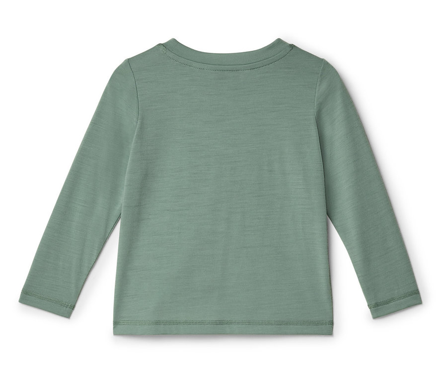 Rückansicht eines schlichten, langärmeligen salbeigrünen Shirts mit Rundhalsausschnitt.
