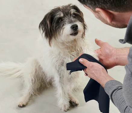 Mann trocknet Hund mit Hunde-Handtuch ab.