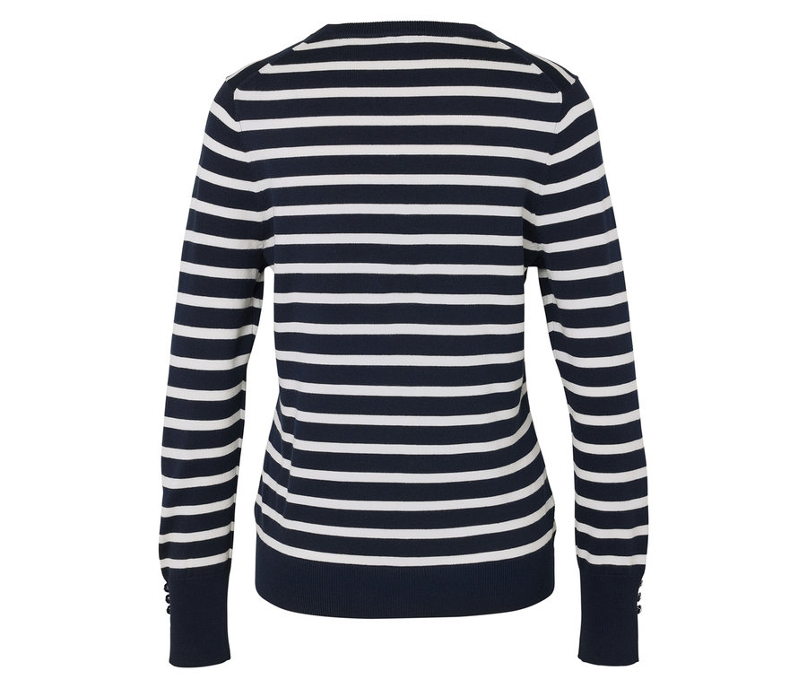 Rückansicht eines dunkelblau-weiß gestreiften Langarmpullovers.