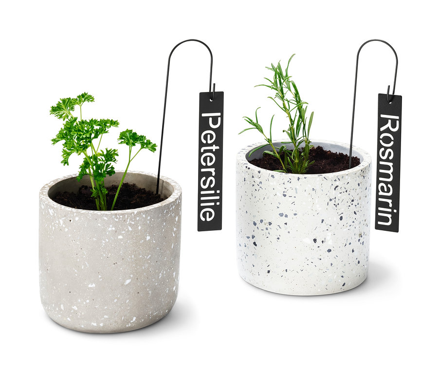 Zwei Kräutertöpfe mit Kräuterschilder-Beschriftungen.