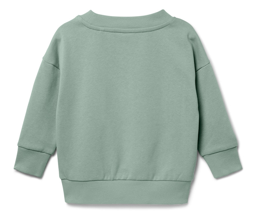 Rückansicht eines hellgrünen Sweatshirts.